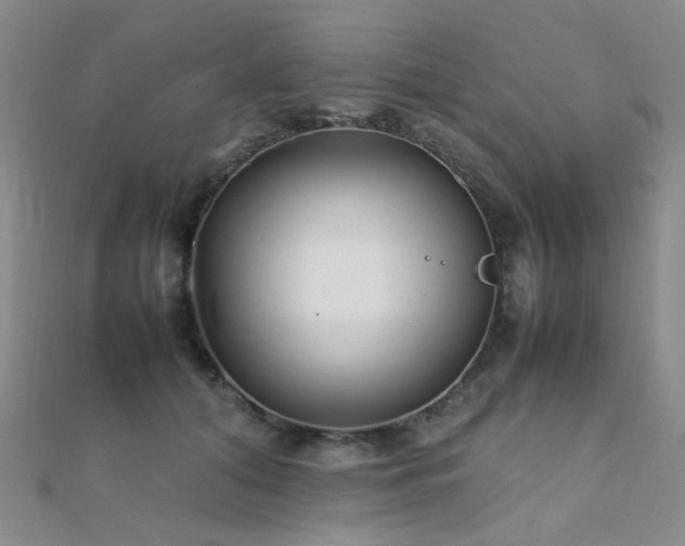 X0000112370608200908131519
