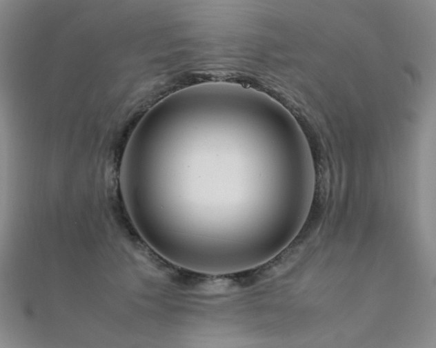 X0000112370609200908131519