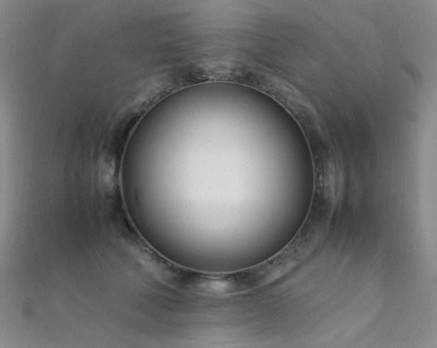 X0000112370610200908131519