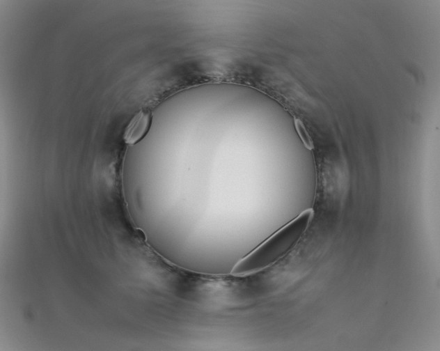 X0000112370611200908131519