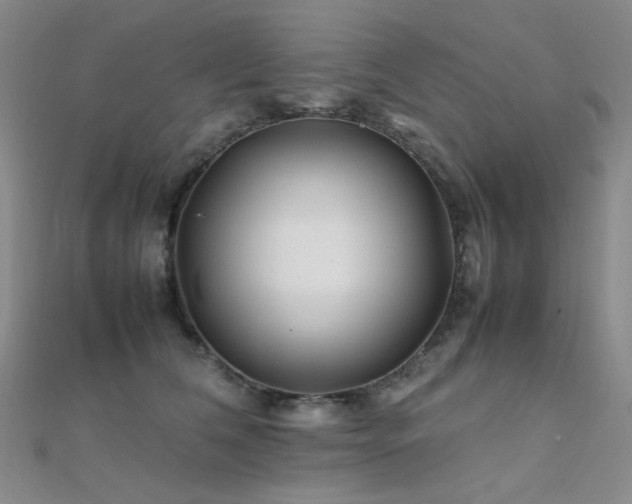 X0000112370612200908131519