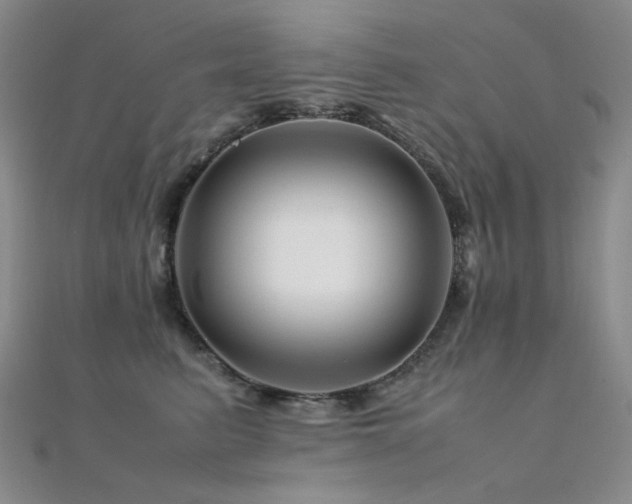 X0000112370615200908131519