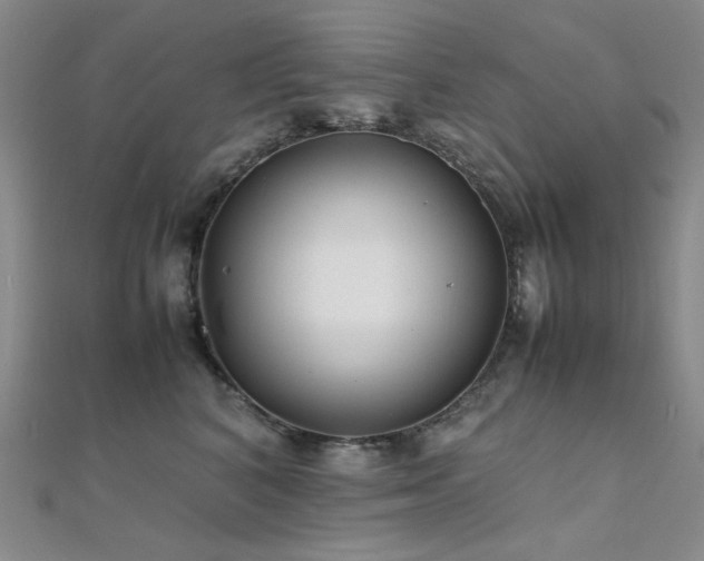 X0000112370616200908131519