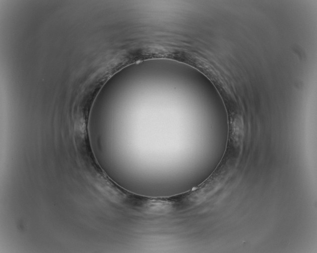 X0000112370617200908131519