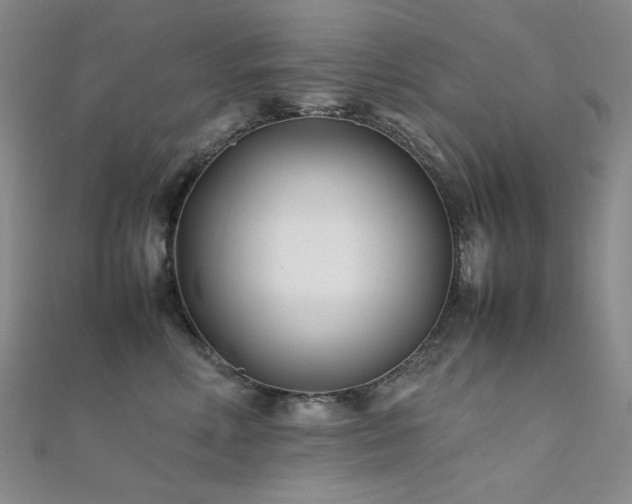 X0000112370618200908131519