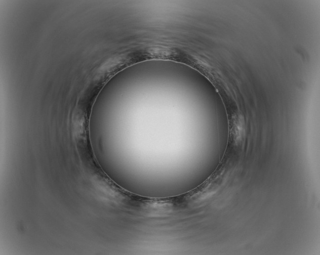 X0000112370619200908131519