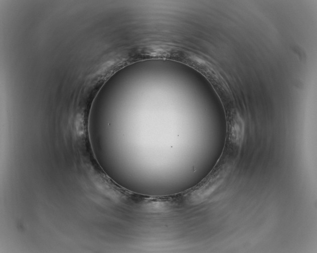 X0000112370620200908131519