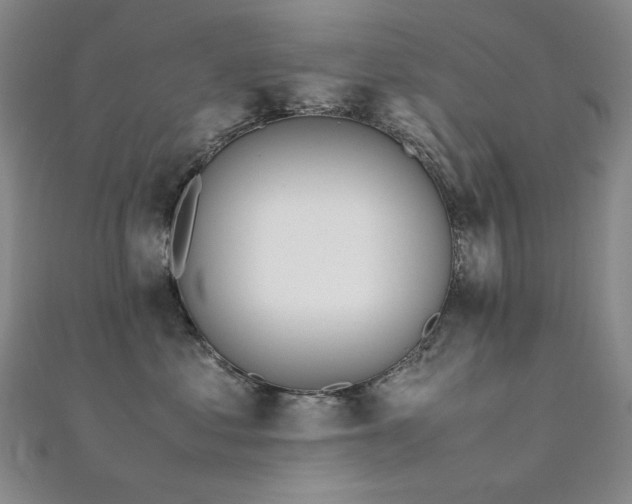 X0000112370621200908131519