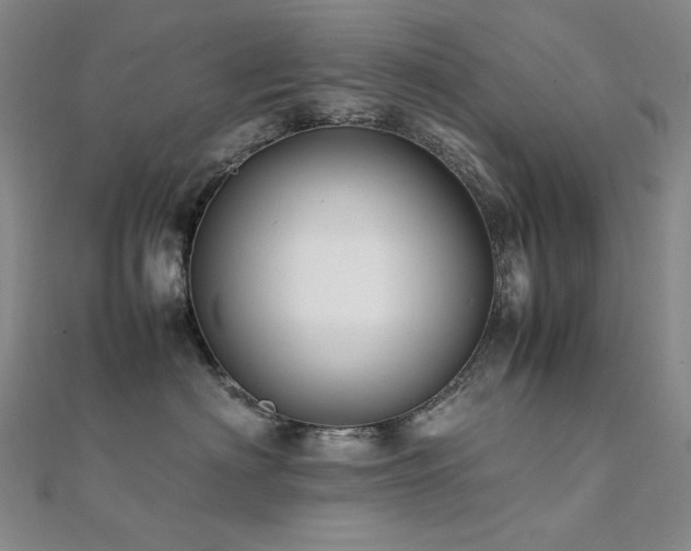 X0000112370622200908131519