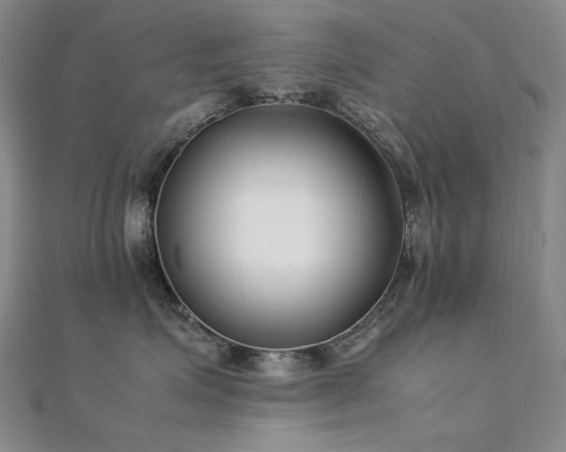 X0000112370623200908131519