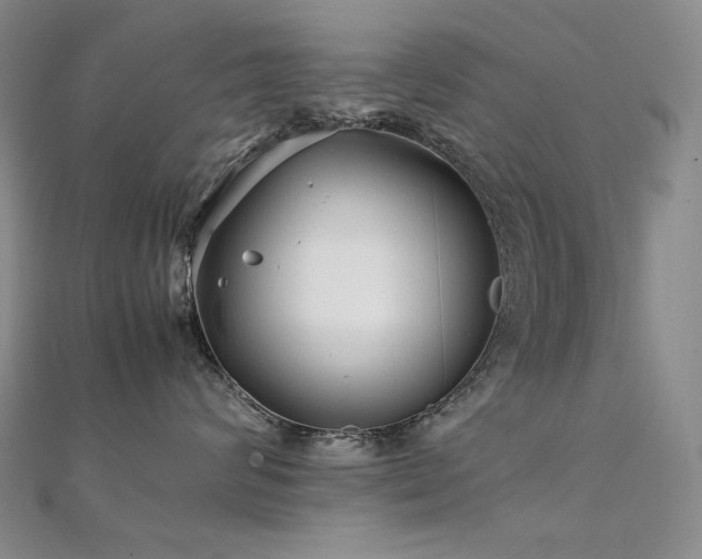 X0000112370624200908131519