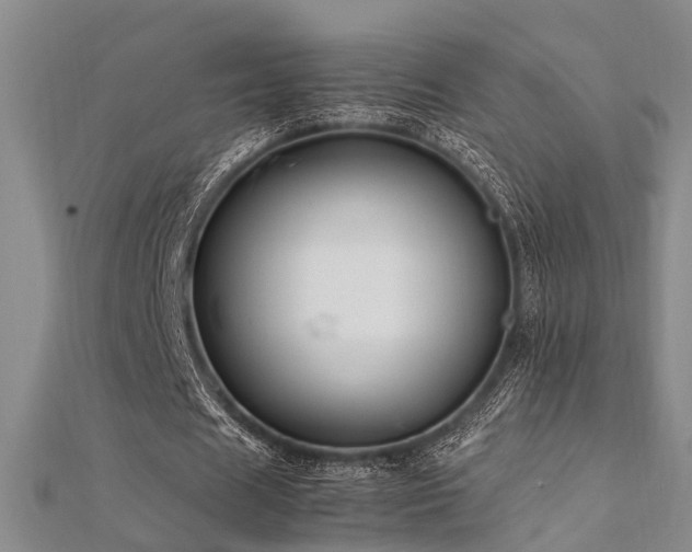X0000112370625200908131518
