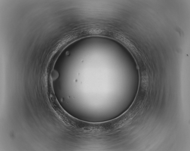 X0000112370626200908131518