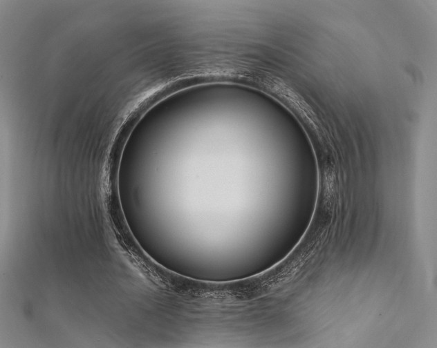 X0000112370628200908131518