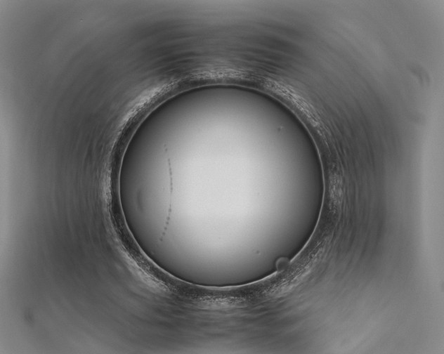 X0000112370629200908131518