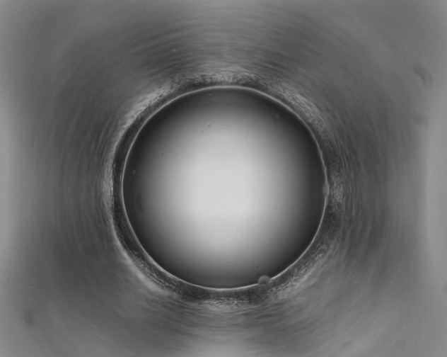 X0000112370630200908131518