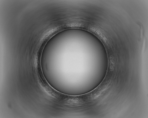 X0000112370631200908131518