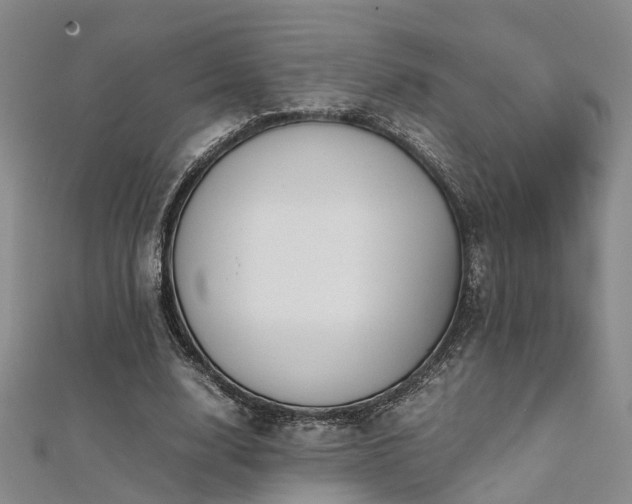 X0000112370632200908131518