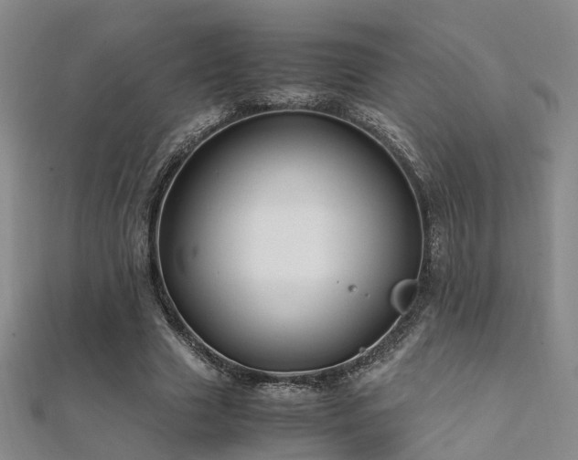 X0000112370633200908131518