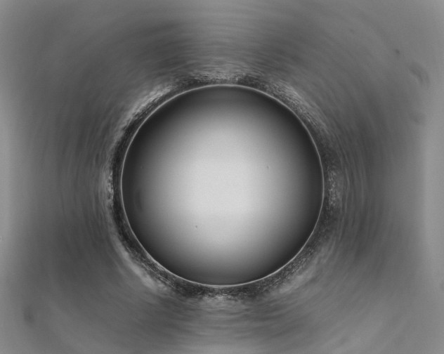 X0000112370634200908131518