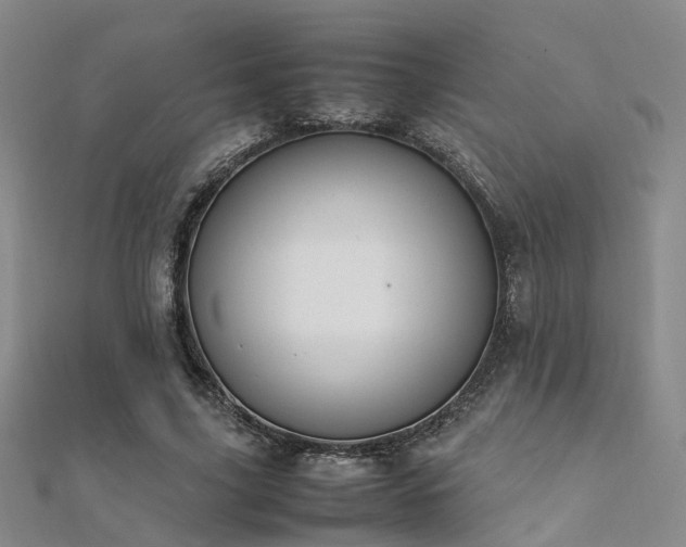 X0000112370635200908131518