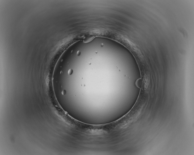 X0000112370637200908131518
