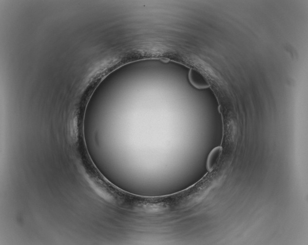 X0000112370638200908131518