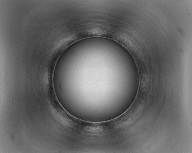 X0000112370639200908131518