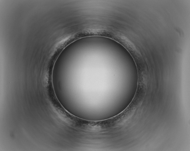 X0000112370640200908131518