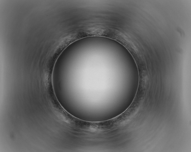 X0000112370641200908131518