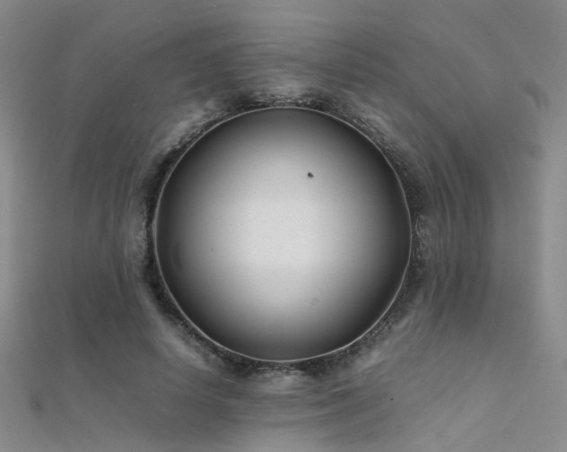 X0000112370642200908131518