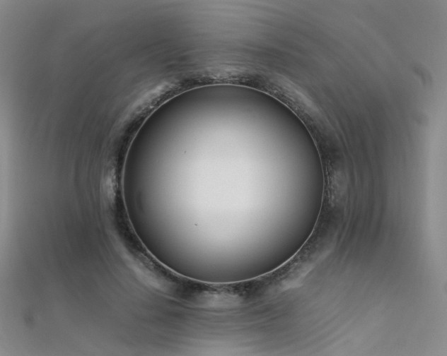 X0000112370644200908131518