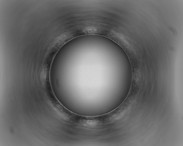 X0000112370645200908131518