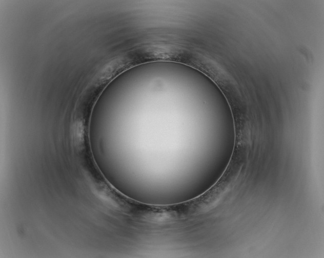 X0000112370646200908131518