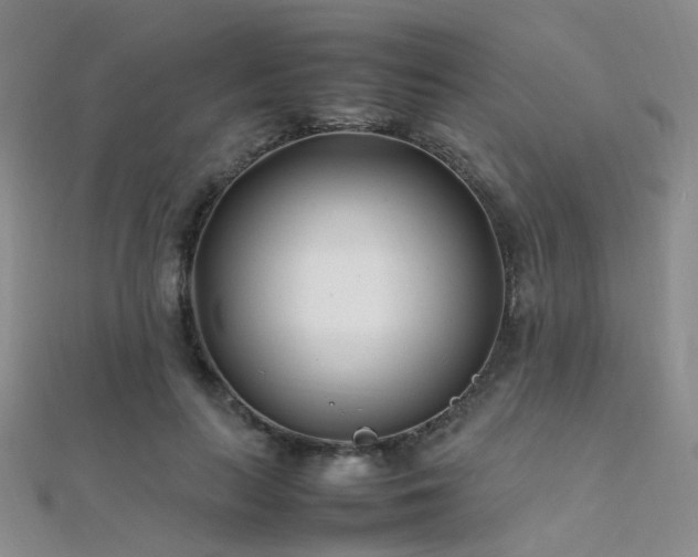 X0000112370647200908131518