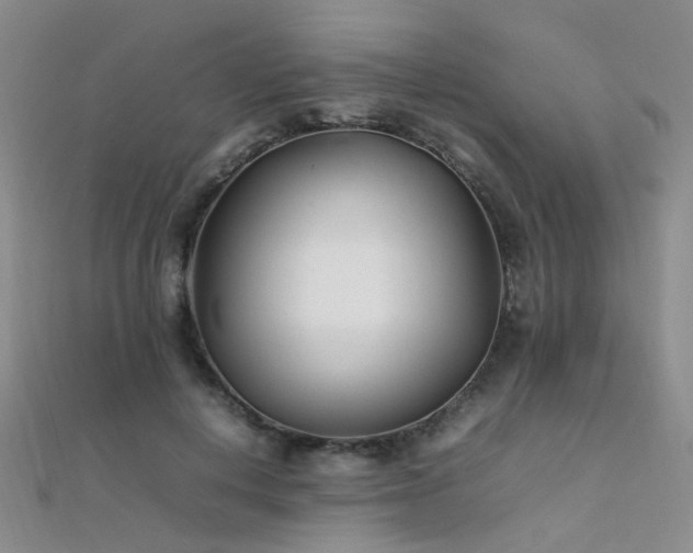 X0000112370648200908131518
