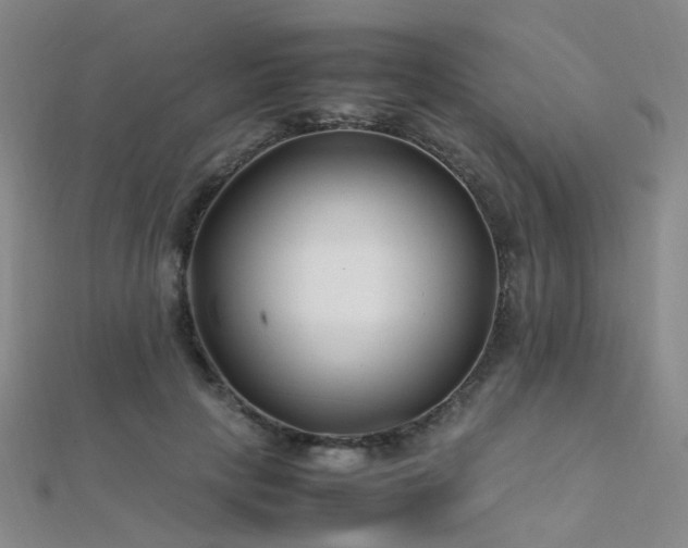 X0000112370649200908131518