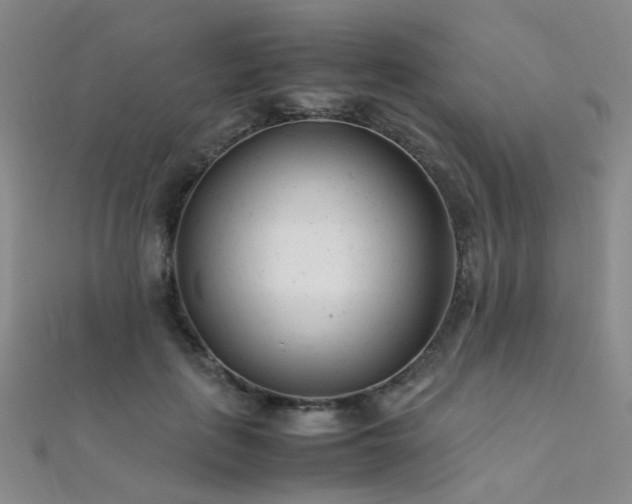 X0000112370651200908131518
