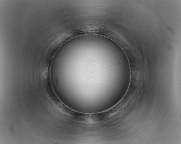 X0000112370652200908131519