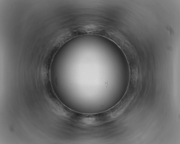 X0000112370653200908131519