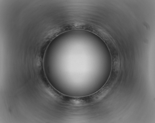 X0000112370654200908131519