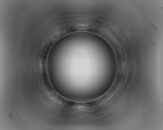 X0000112370655200908131519