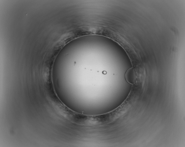X0000112370656200908131519