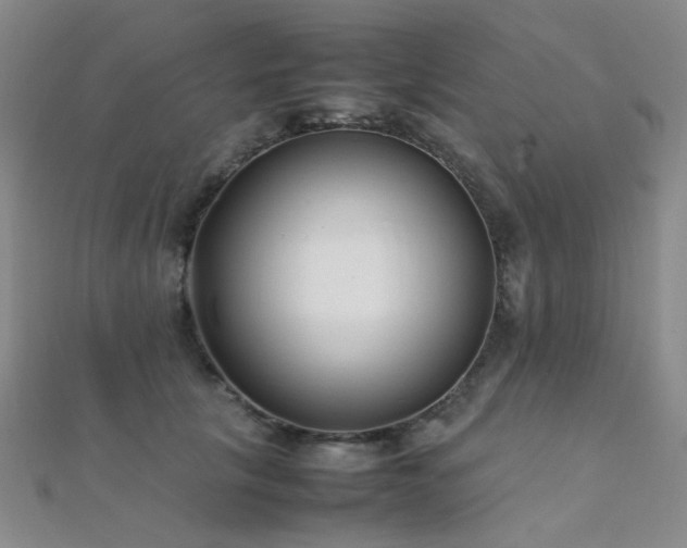 X0000112370657200908131519