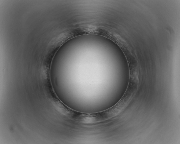 X0000112370658200908131519