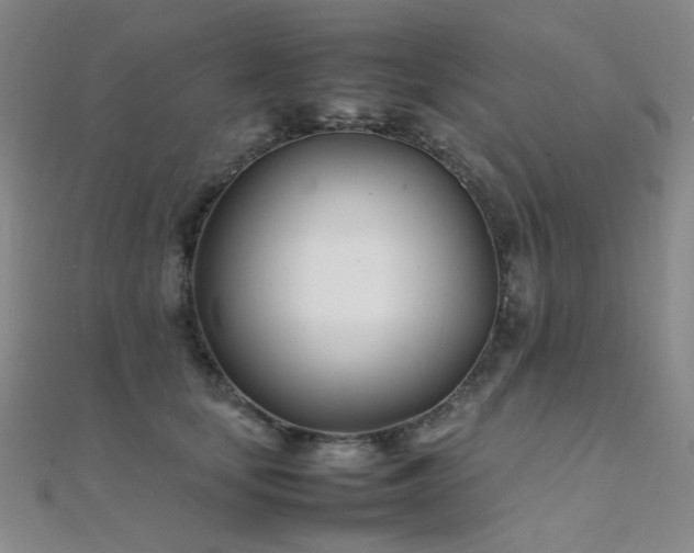 X0000112370659200908131519