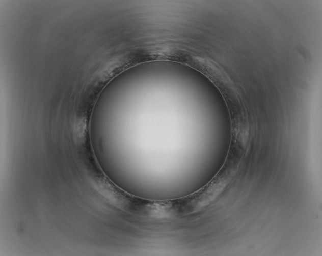 X0000112370660200908131519