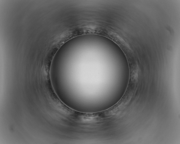 X0000112370661200908131519