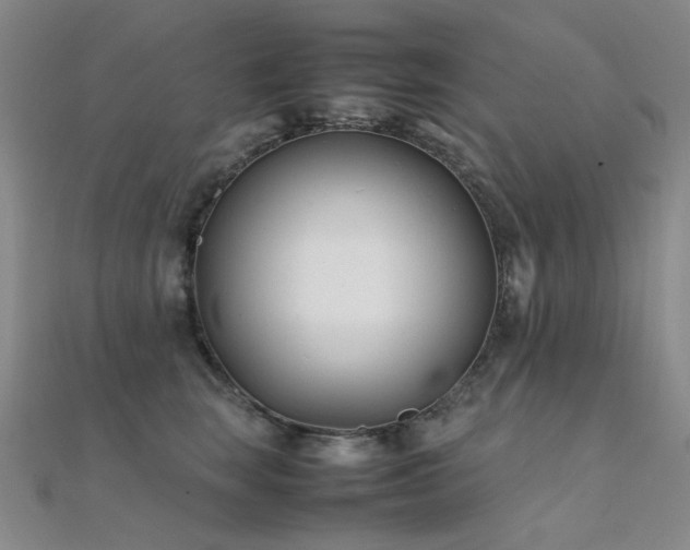 X0000112370663200908131519