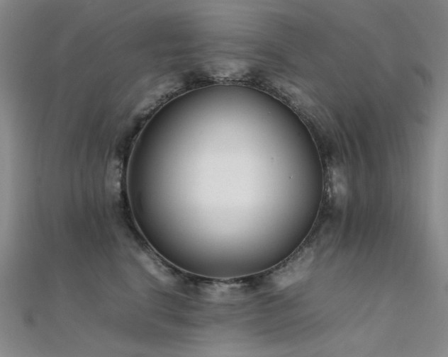 X0000112370664200908131519